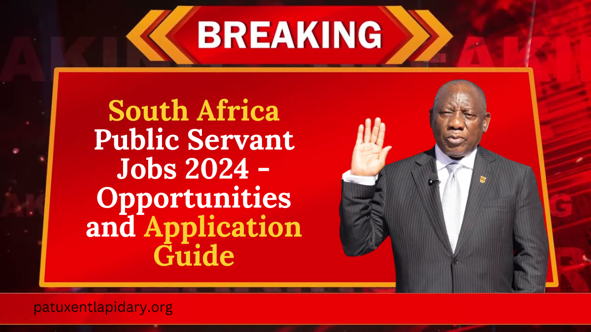 South Africa Public Servant Jobs 2024 - Opportunities and Application Guide